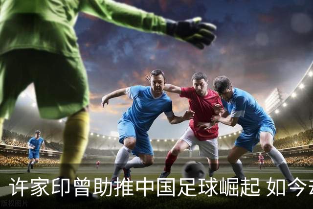 许家印曾助推中国足球崛起 如今却饱受惩罚
